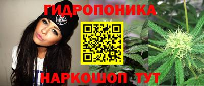 первитин Камышлов