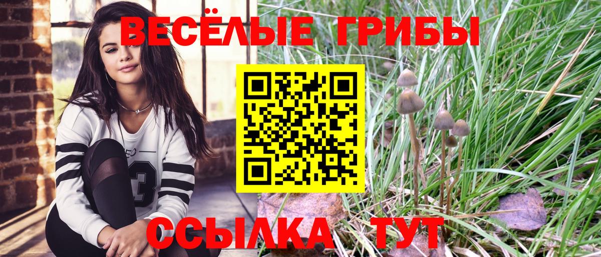 Кстово  Галлюциногенные грибы Magic Shrooms  Галлюциногенные грибы Psilocybe  Вход с VPN 