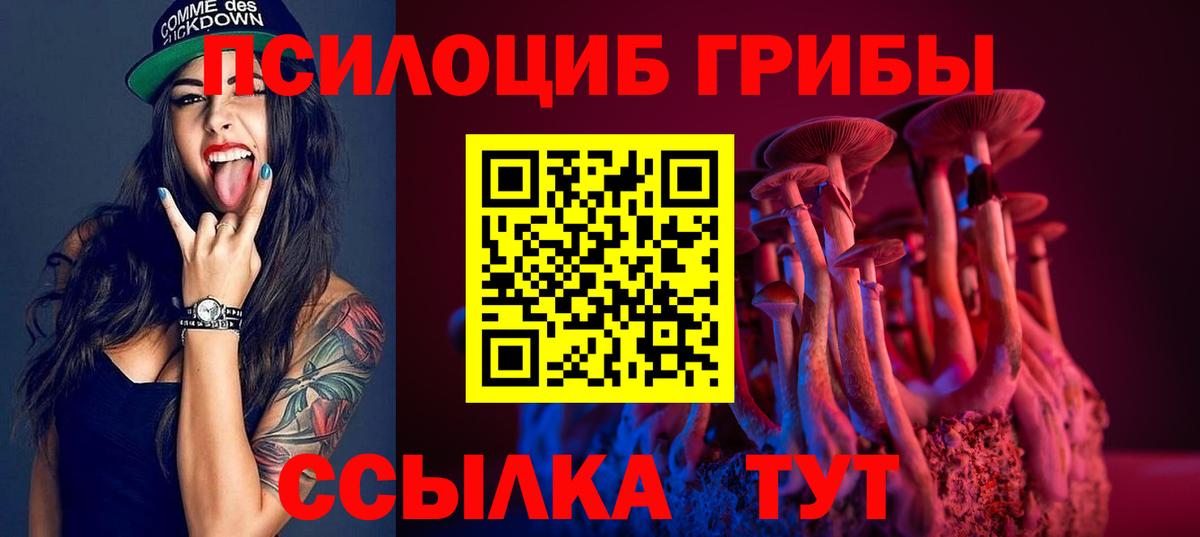 Галлюциногенные грибы прущие грибы Кстово